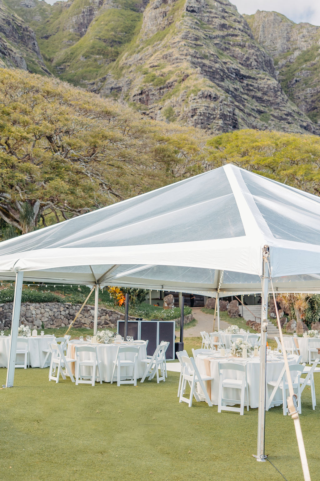 Outdoor event with a white tent set up on a grassy area surrounded by trees and palm plants under a clear sky at Kualoa ranch