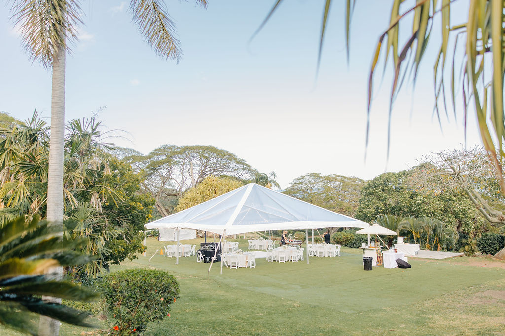 Outdoor event with a white tent set up on a grassy area surrounded by trees and palm plants under a clear sky at Kualoa ranch 