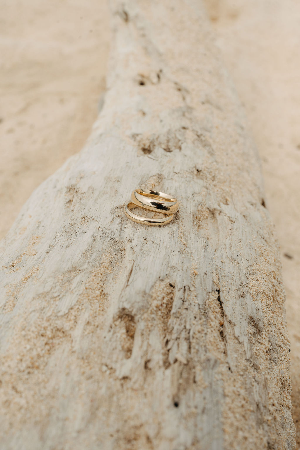 Two gold rings placed on a textured piece of driftwood on a sandy beach.