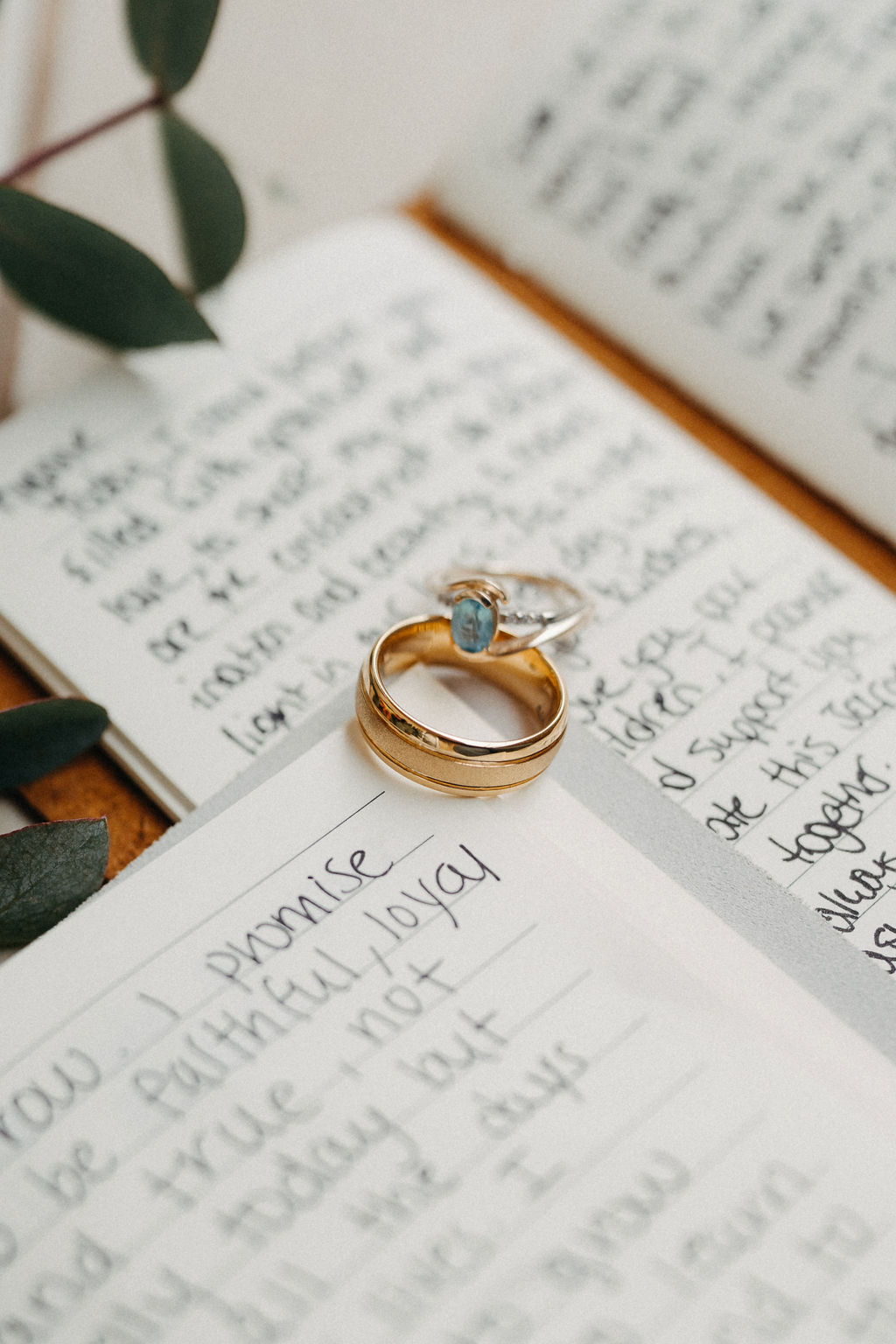 A gold ring and a silver ring with a blue stone rest on handwritten journal pages with leafy green plant in the corner.