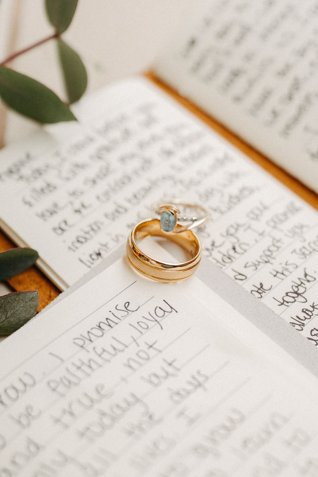 Two rings, one gold and one silver with a blue stone, rest on handwritten notebook pages with leafy branches nearby.
